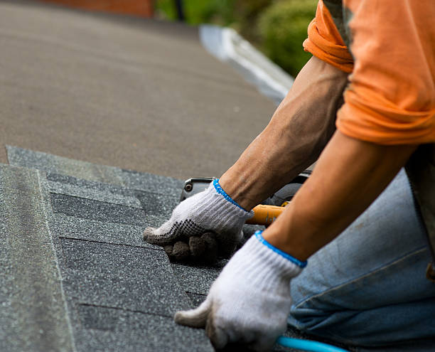 Roof Gutter Cleaning in Lake Grove, NY